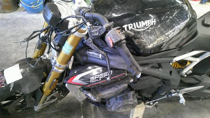 SPEED TRIPLE 1200
