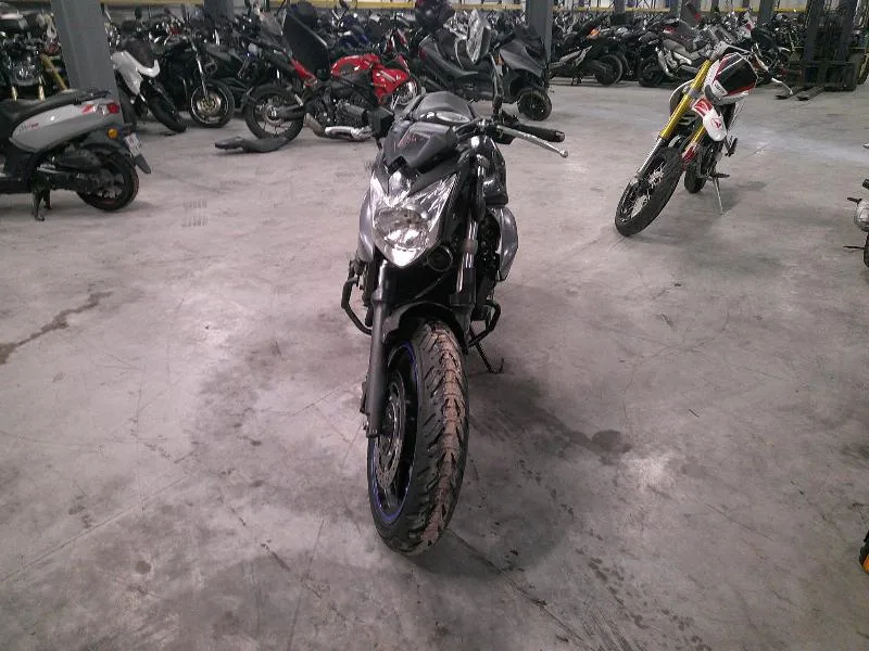 XJ6N