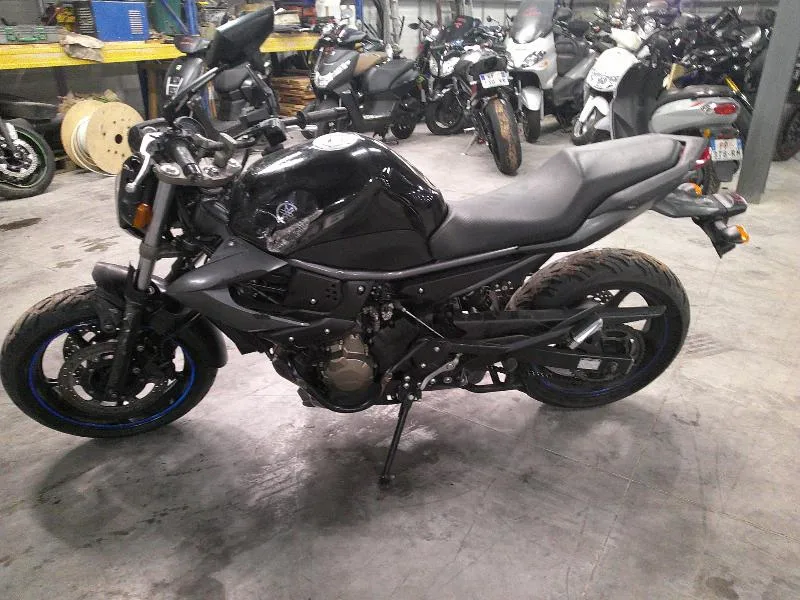 XJ6N