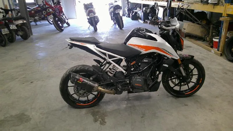 390 DUKE 2022