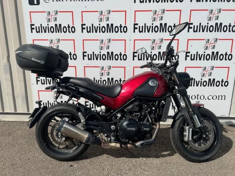 LEONCINO 500
