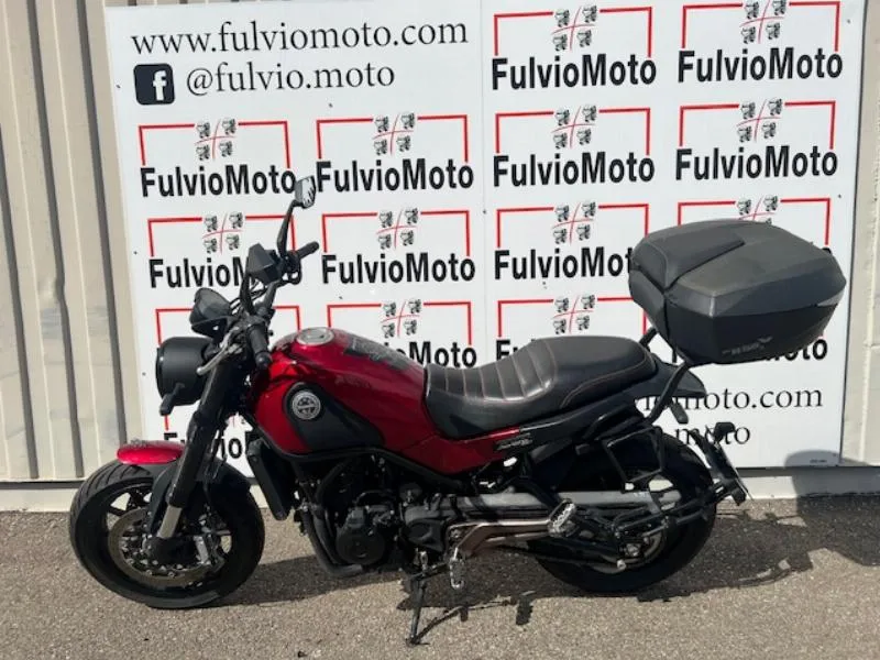 LEONCINO 500