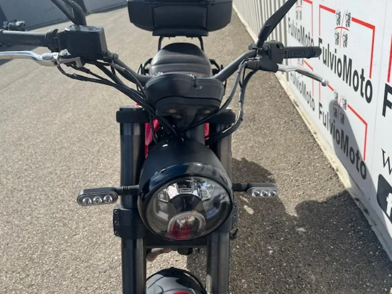 LEONCINO 500