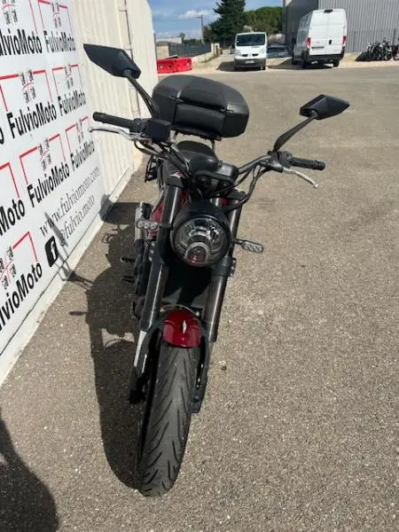 LEONCINO 500