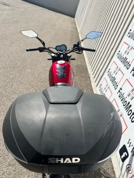 LEONCINO 500