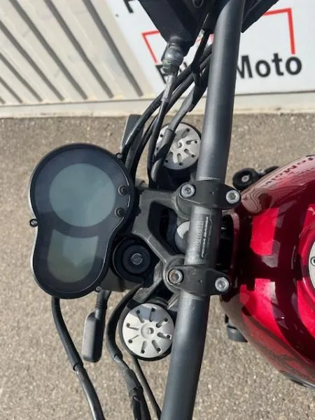 LEONCINO 500