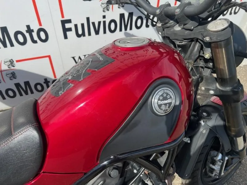 LEONCINO 500