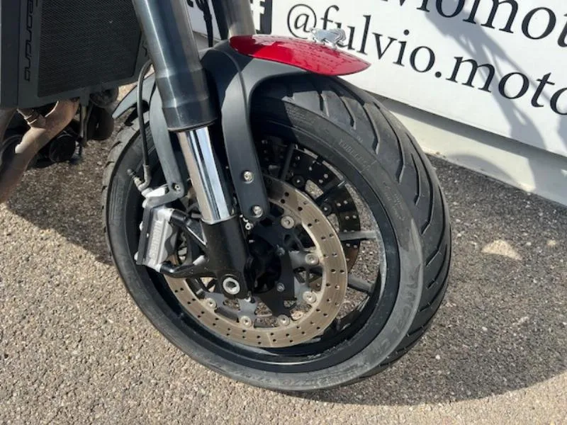 LEONCINO 500