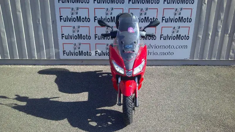 SXR 50