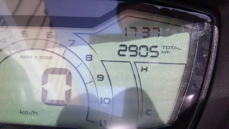 SXR 50