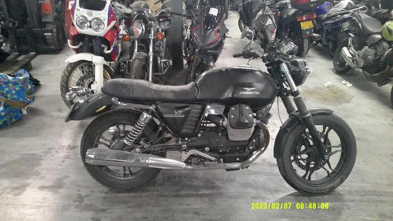 V7 STONE 2013