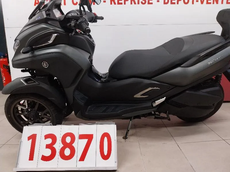 TRICITY 300