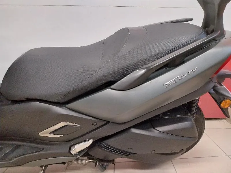 TRICITY 300