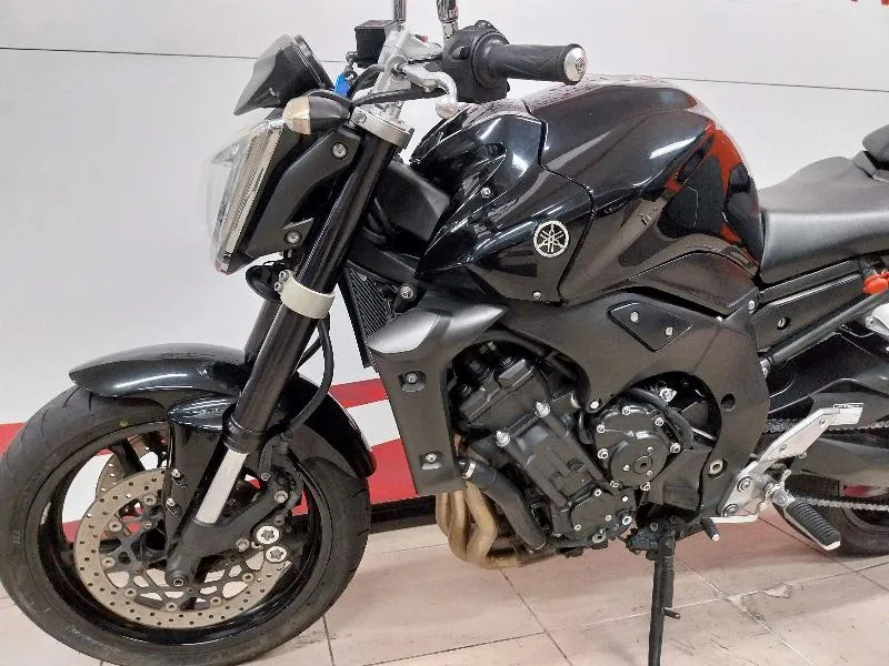 FZ1