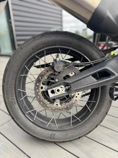 TIGER 900 RALLY PRO
