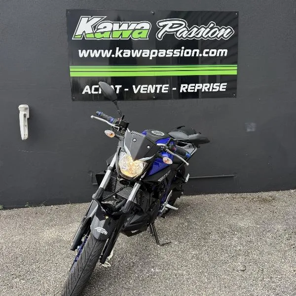 MT03 2019