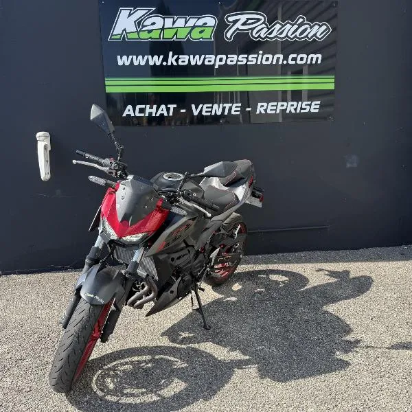 Z 500 SE