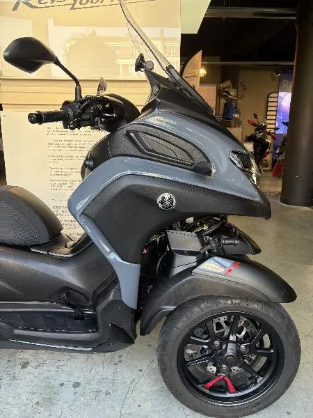 TRICITY 300