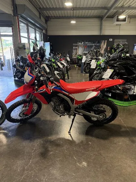 CRF 300 L