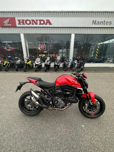 MONSTER 900 2024