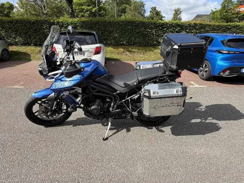 TIGER 800