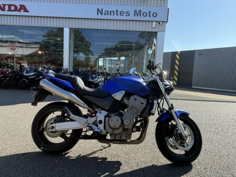 HORNET 900