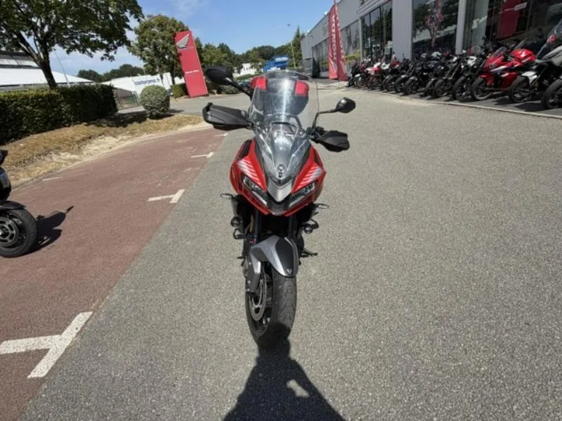 Tiger Sport