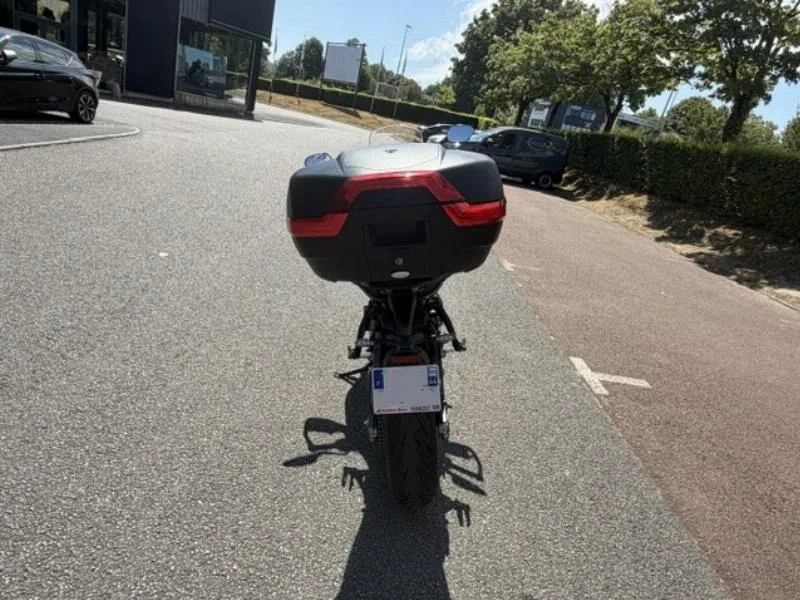 Tiger Sport