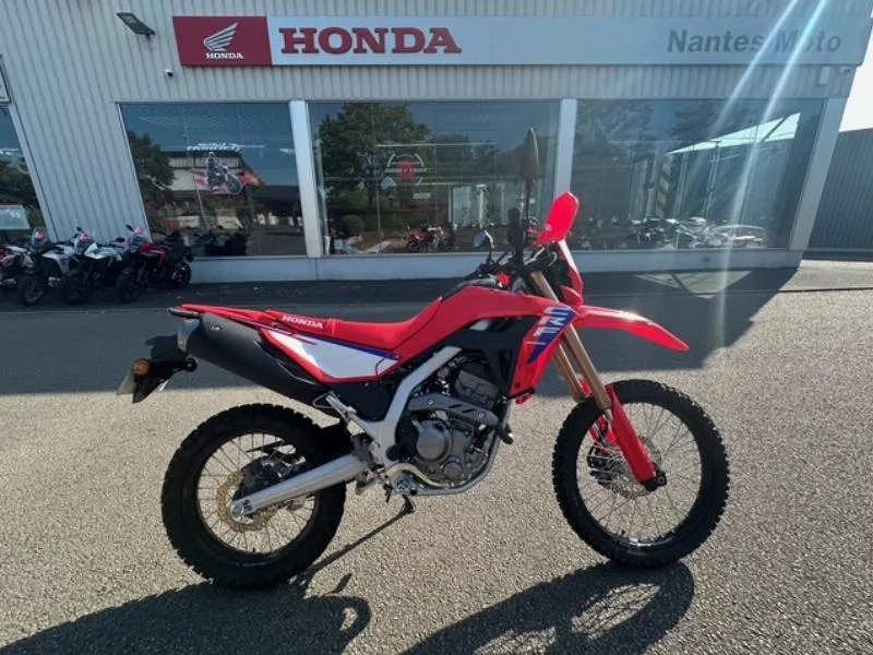 CRF 300 L