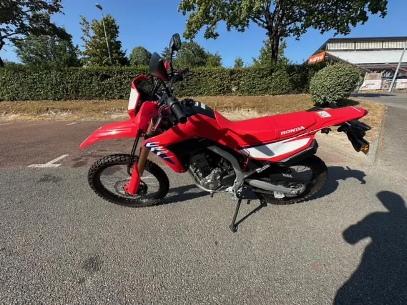 CRF 300 L