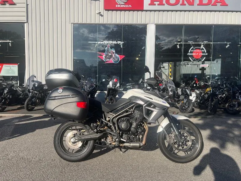 TIGER XR