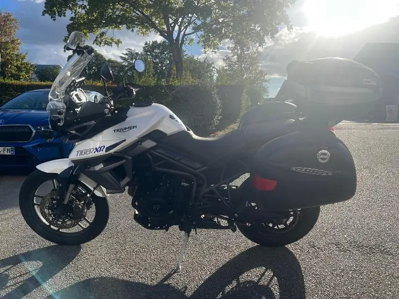 TIGER XR