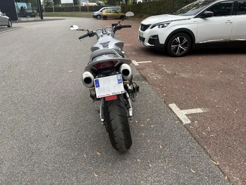 HORNET 900