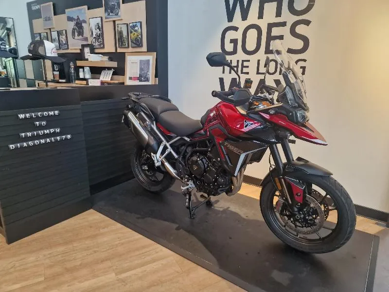 Tiger 900 GT Pro A2