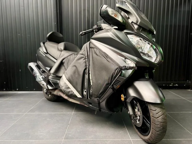 BURGMAN 650