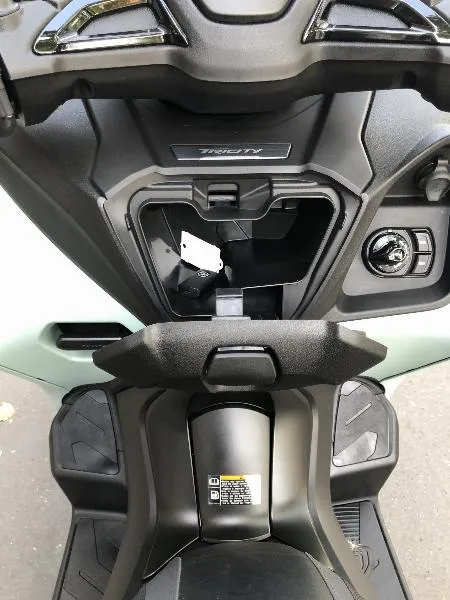 TRICITY 300