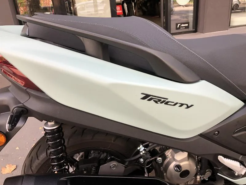 TRICITY 300