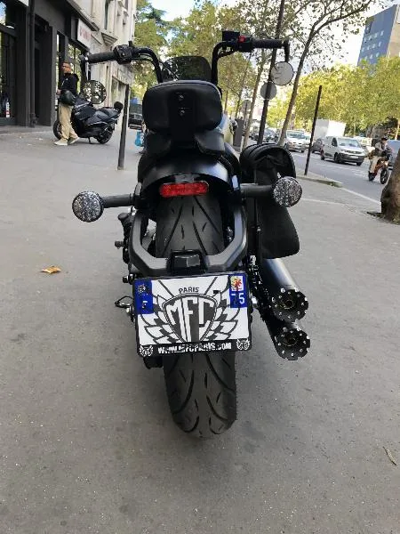 SCOUT ROGUE 1133