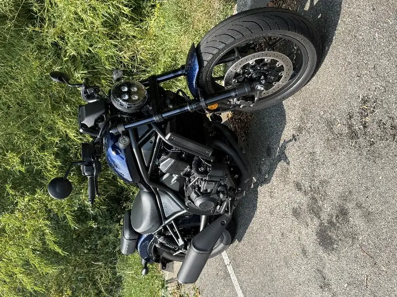 REBEL 1100