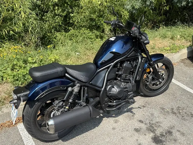 REBEL 1100