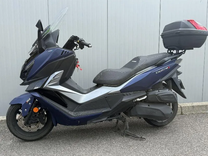 CRUISYM 300