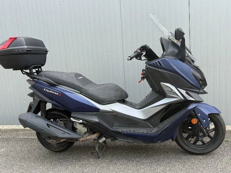 CRUISYM 300