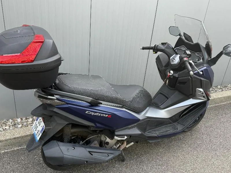 CRUISYM 300