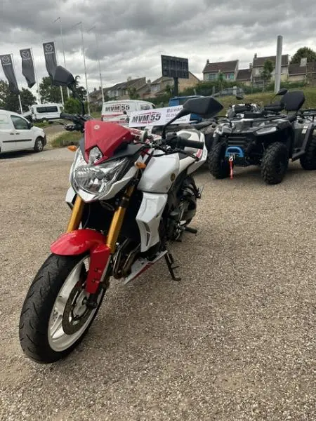 FZ8