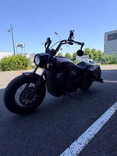 SCOUT ROGUE 1133