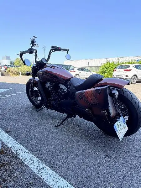 SCOUT ROGUE 1133