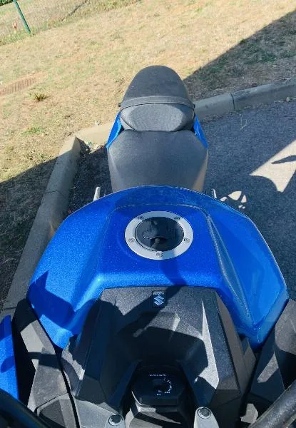 GSXS 950