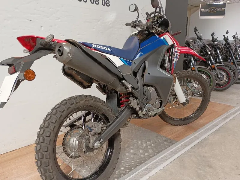CRF 300 L RALLY