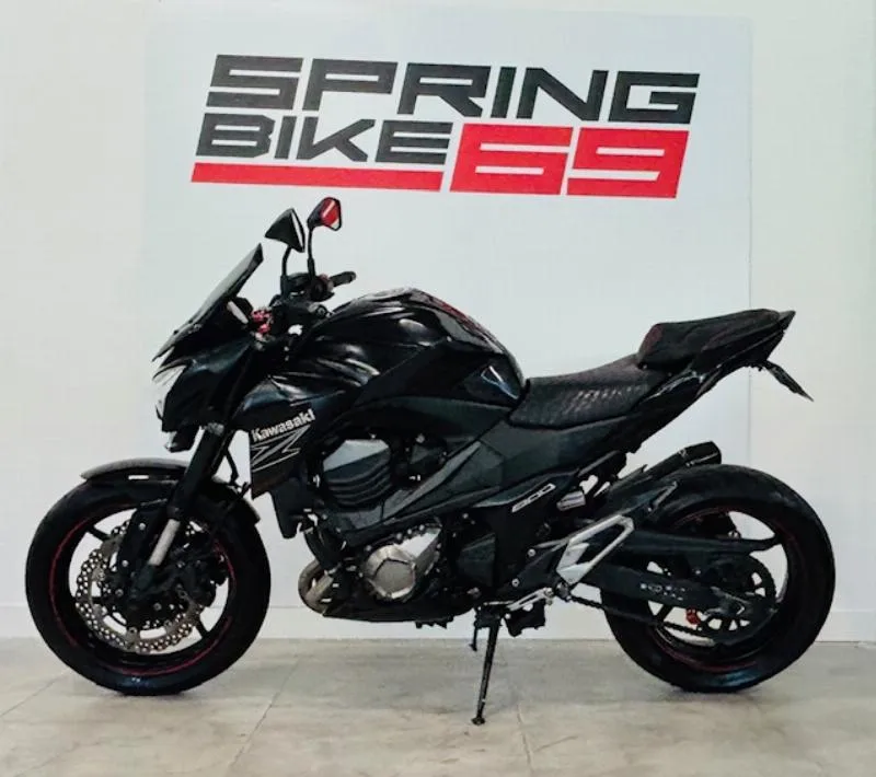 Z 800 2013