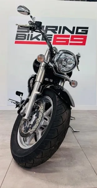 XVS 1300